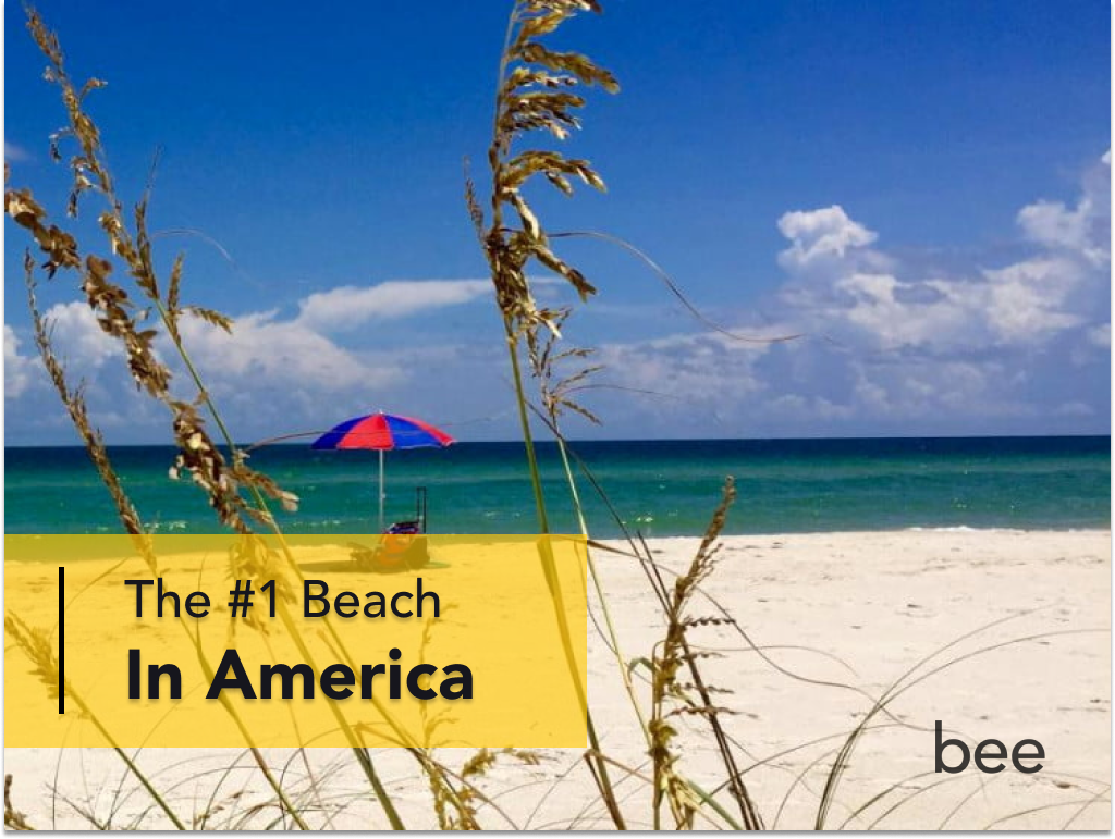 The Forgotten Coast: The Best Beach In America