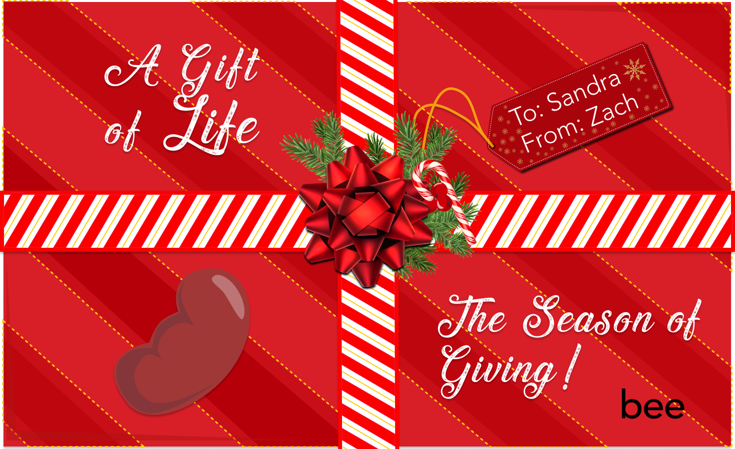 'Tis The Season of Giving: A Gift Of Life